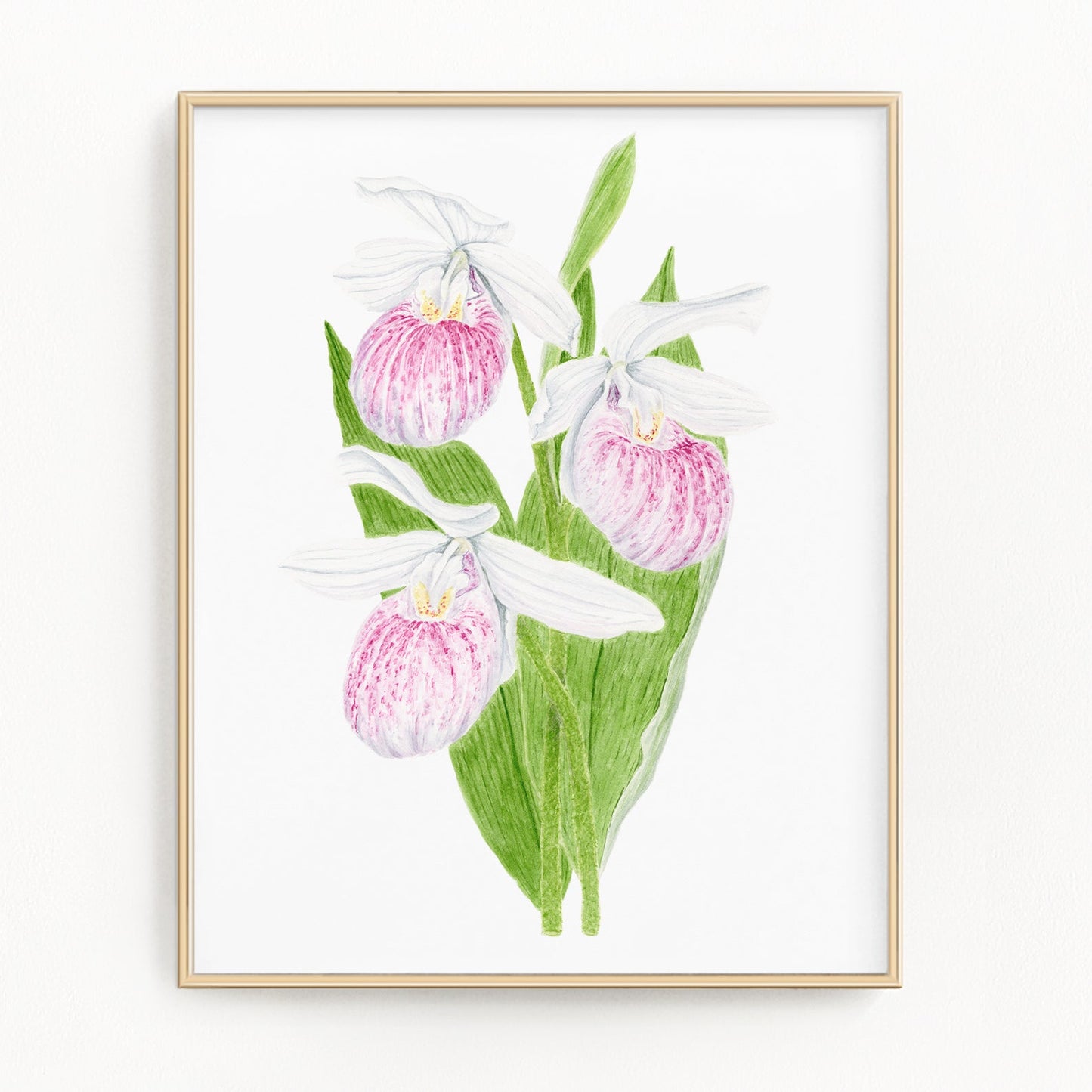 Lady's Slipper Print, Watercolor Lady Slipper Painting, Minnesota State Flower Emilie Taylor Art