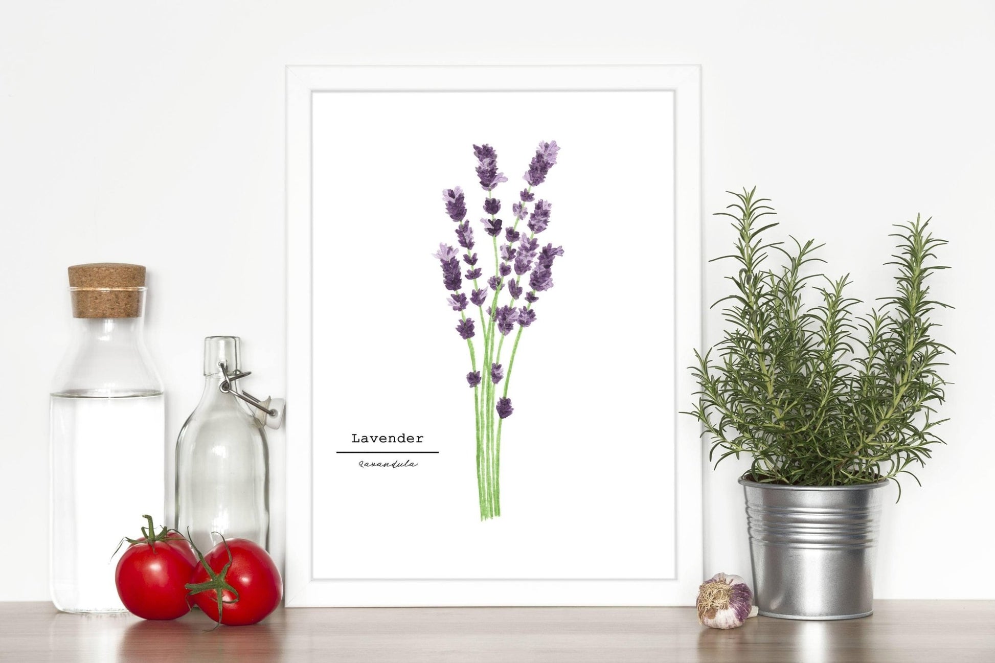 Lavender Watercolor Painting, Kitchen Wall Art, Herb Painting, Botanical Art, Gardener Present Emilie Taylor Art