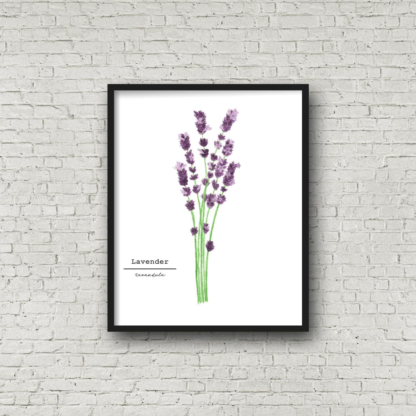 Lavender Watercolor Painting, Kitchen Wall Art, Herb Painting, Botanical Art, Gardener Present Emilie Taylor Art