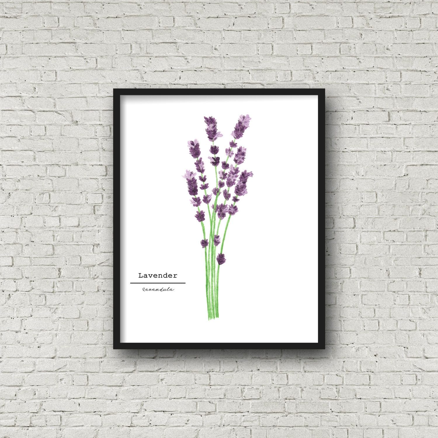 Lavender Watercolor Painting, Kitchen Wall Art, Herb Painting, Botanical Art, Gardener Present Emilie Taylor Art