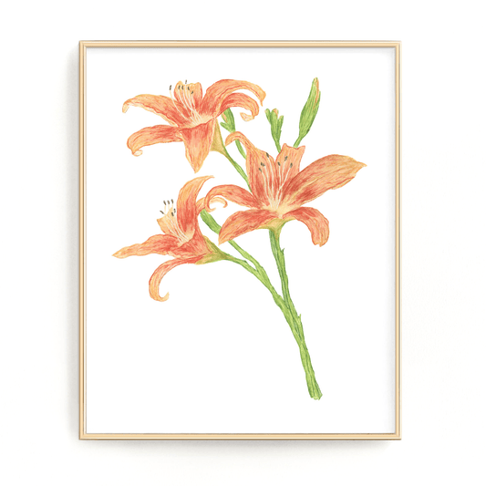 Lily Print, Watercolor Lilies Painting, Lily Art, Floral Art, Floral Print, Orange Lilies Emilie Taylor Art