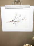 Magnolia Original Painting Mated to size 11x14 Emilie Taylor Art
