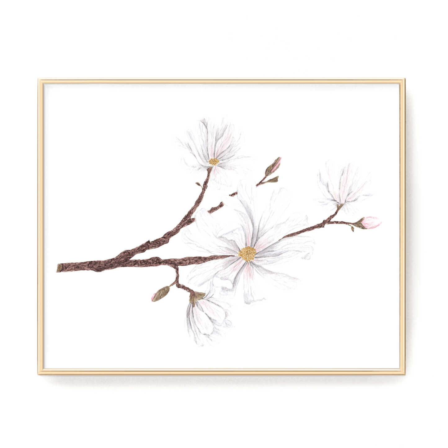 Magnolia Print, Watercolor Magnolia Painting, Floral Art Print, Star Magnolia Emilie Taylor Art