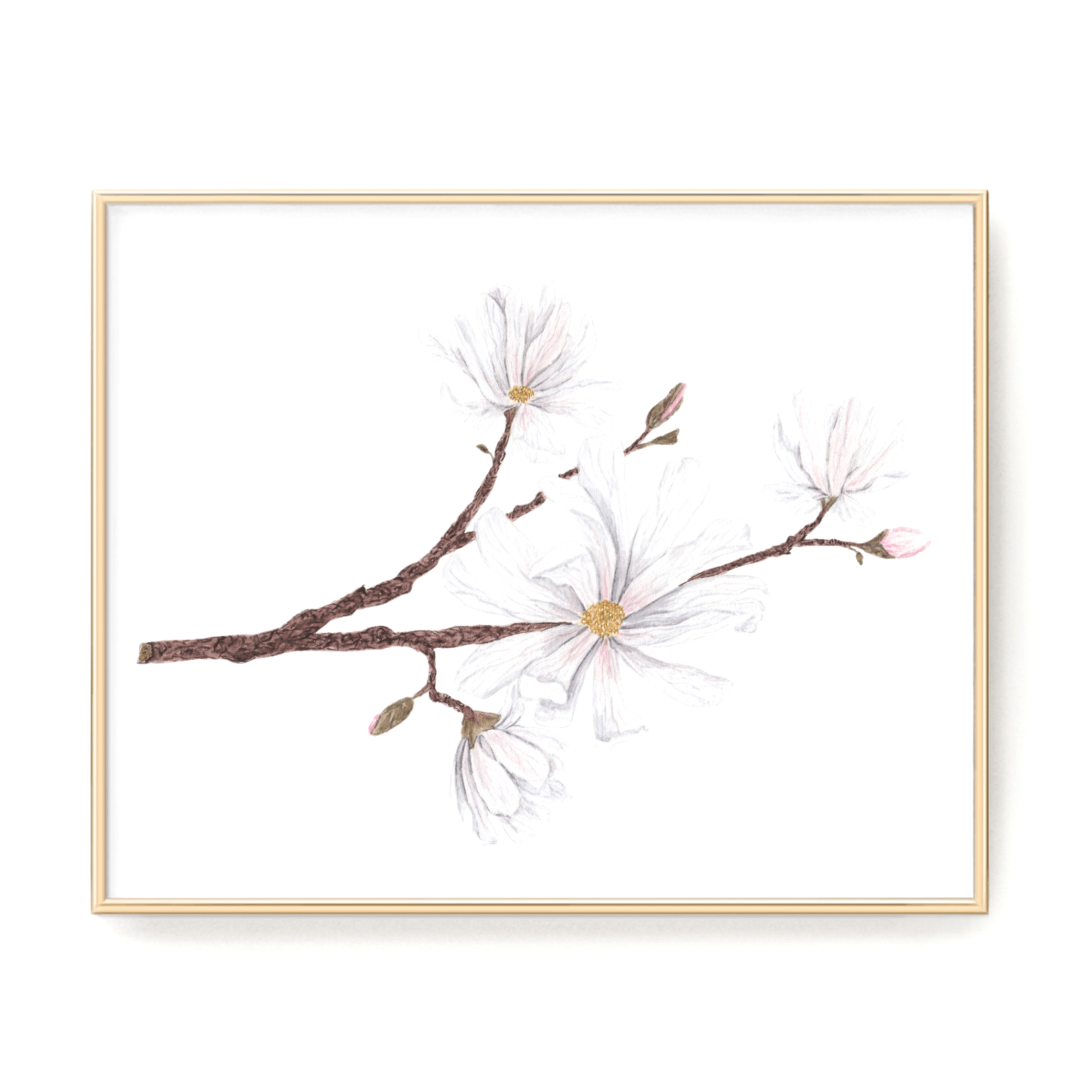 Magnolia Print, Watercolor Magnolia Painting, Floral Art Print, Star Magnolia Emilie Taylor Art