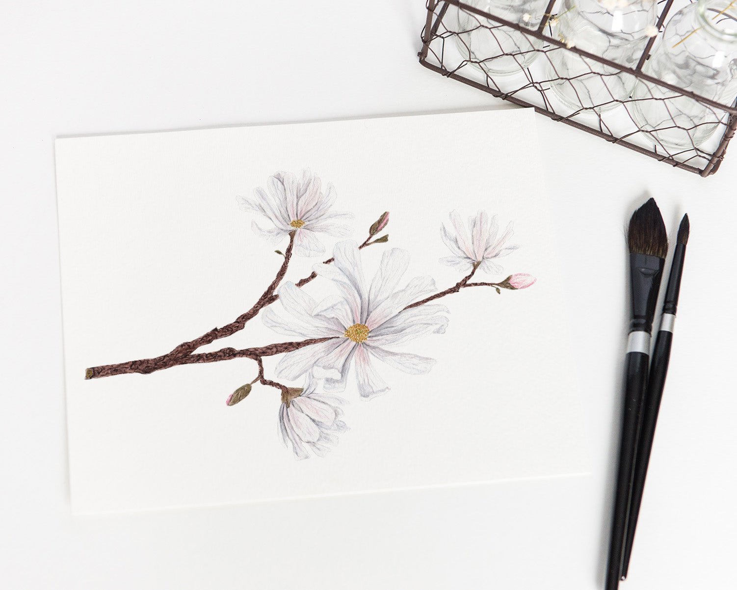 Magnolia Print, Watercolor Magnolia Painting, Floral Art Print, Star Magnolia Emilie Taylor Art