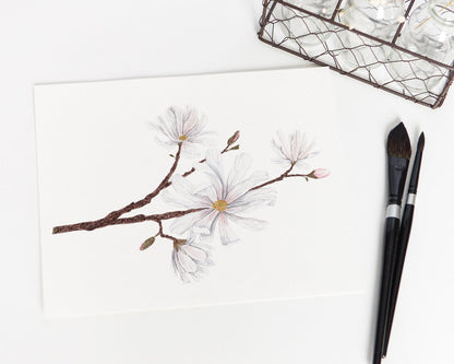 Magnolia Print, Watercolor Magnolia Painting, Floral Art Print, Star Magnolia Emilie Taylor Art