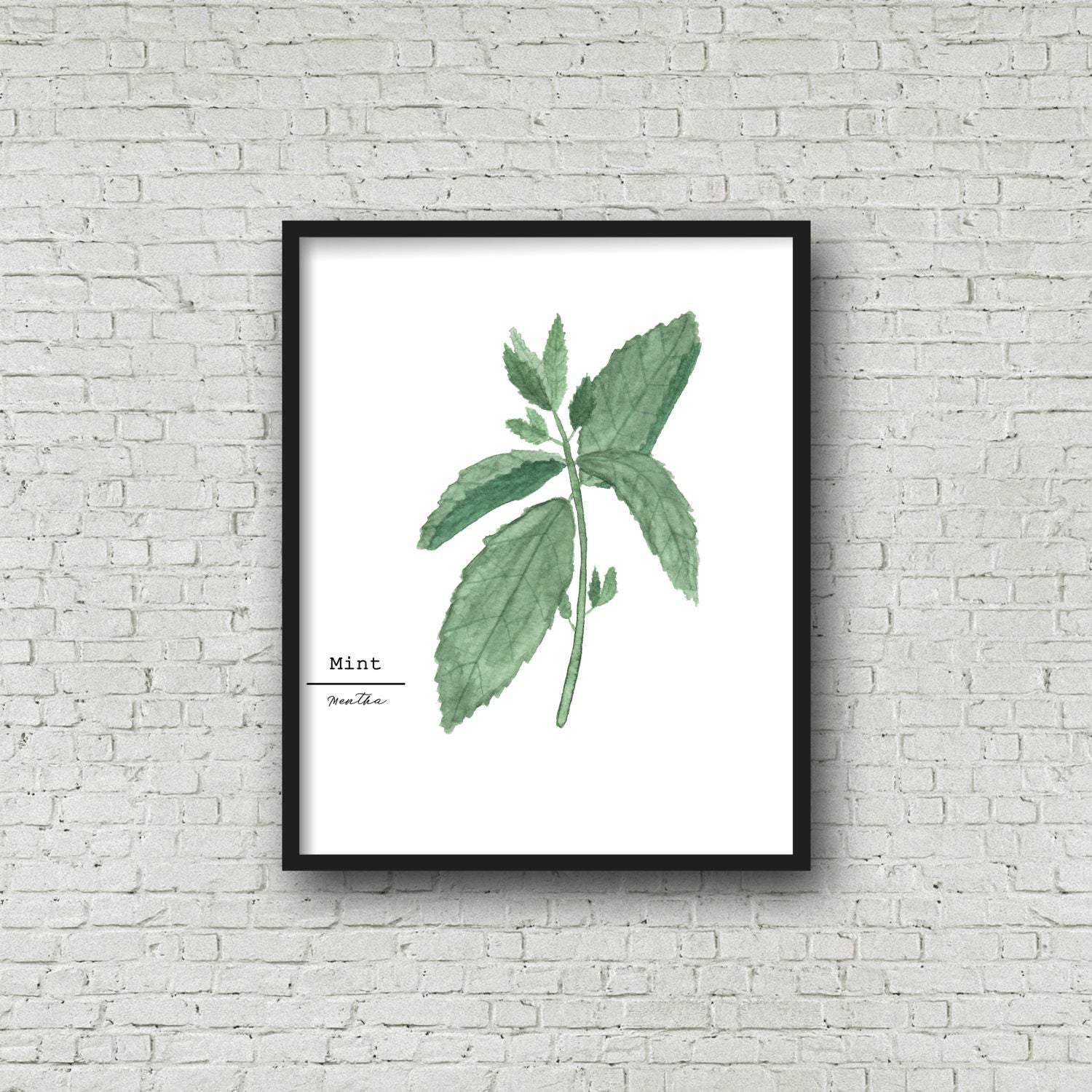Mint Watercolor Painting, Kitchen Wall Art, Fine Art Print, Home Decor, Herb Painting, Botanical Art Emilie Taylor Art