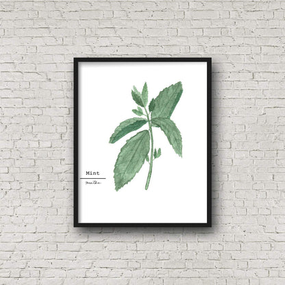 Mint Watercolor Painting, Kitchen Wall Art, Fine Art Print, Home Decor, Herb Painting, Botanical Art Emilie Taylor Art