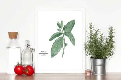Mint Watercolor Painting, Kitchen Wall Art, Fine Art Print, Home Decor, Herb Painting, Botanical Art Emilie Taylor Art