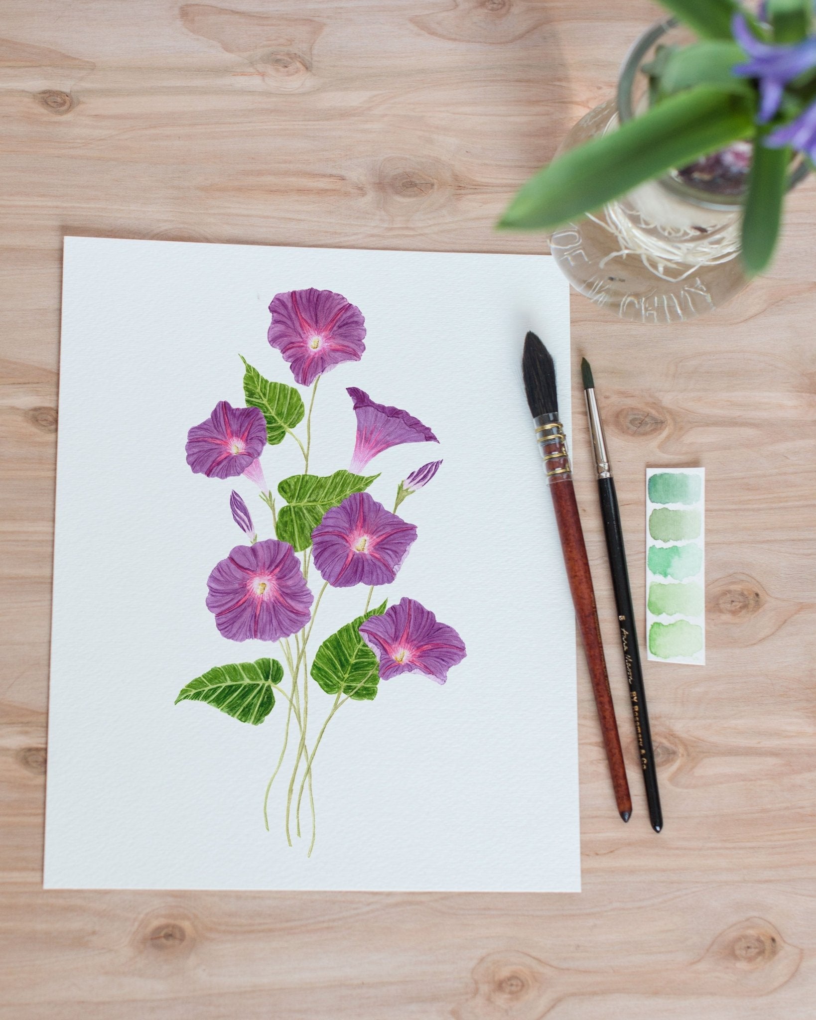 morning glory full drawing
