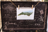 North Carolina Greeting Card, North Carolina Notecard, North Carolina Souvenir, NC Greeting Card Emilie Taylor Art
