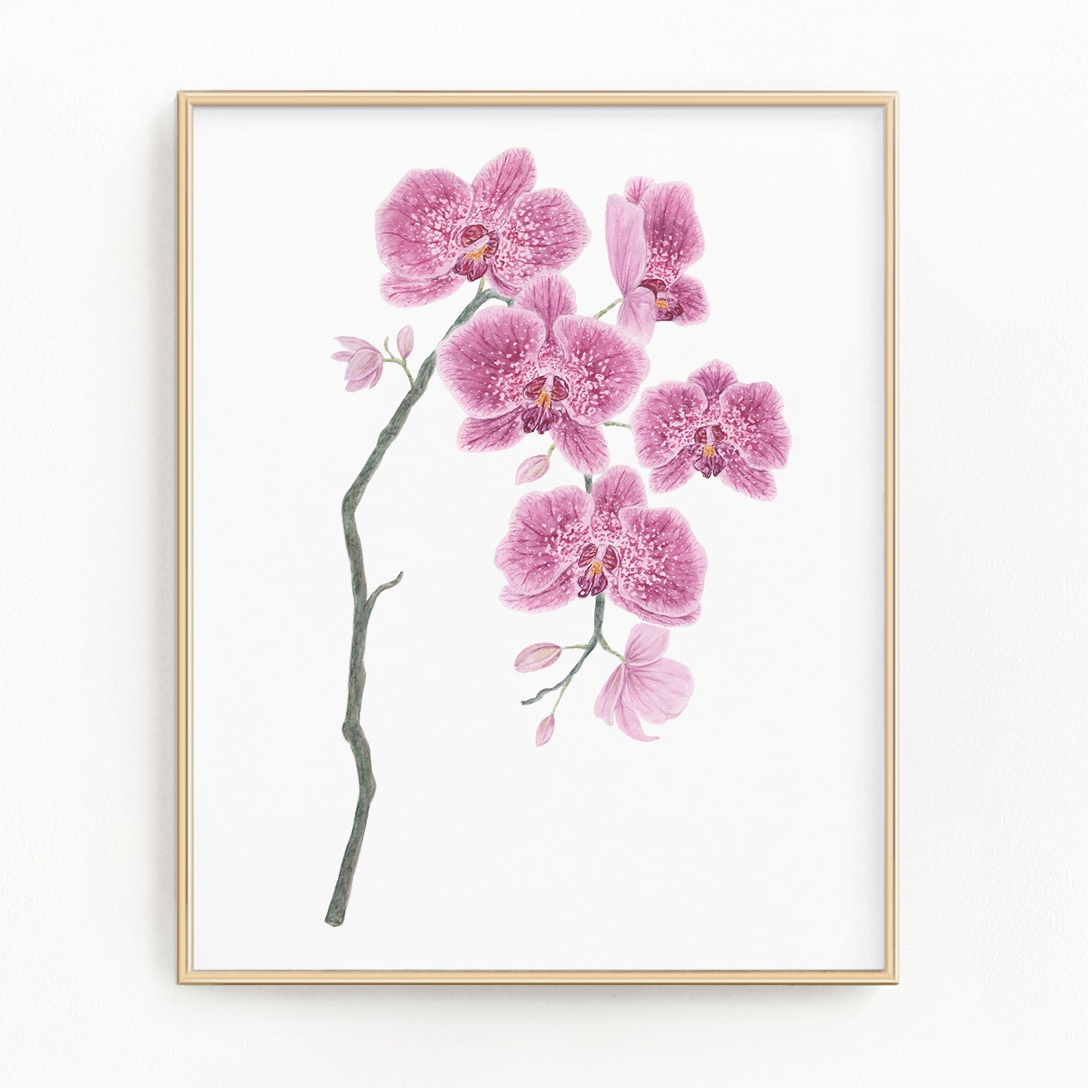 Orchid Print, Watercolor Orchid Painting, Orchid Art, Floral Art, Orchid Print, Emilie Taylor Art