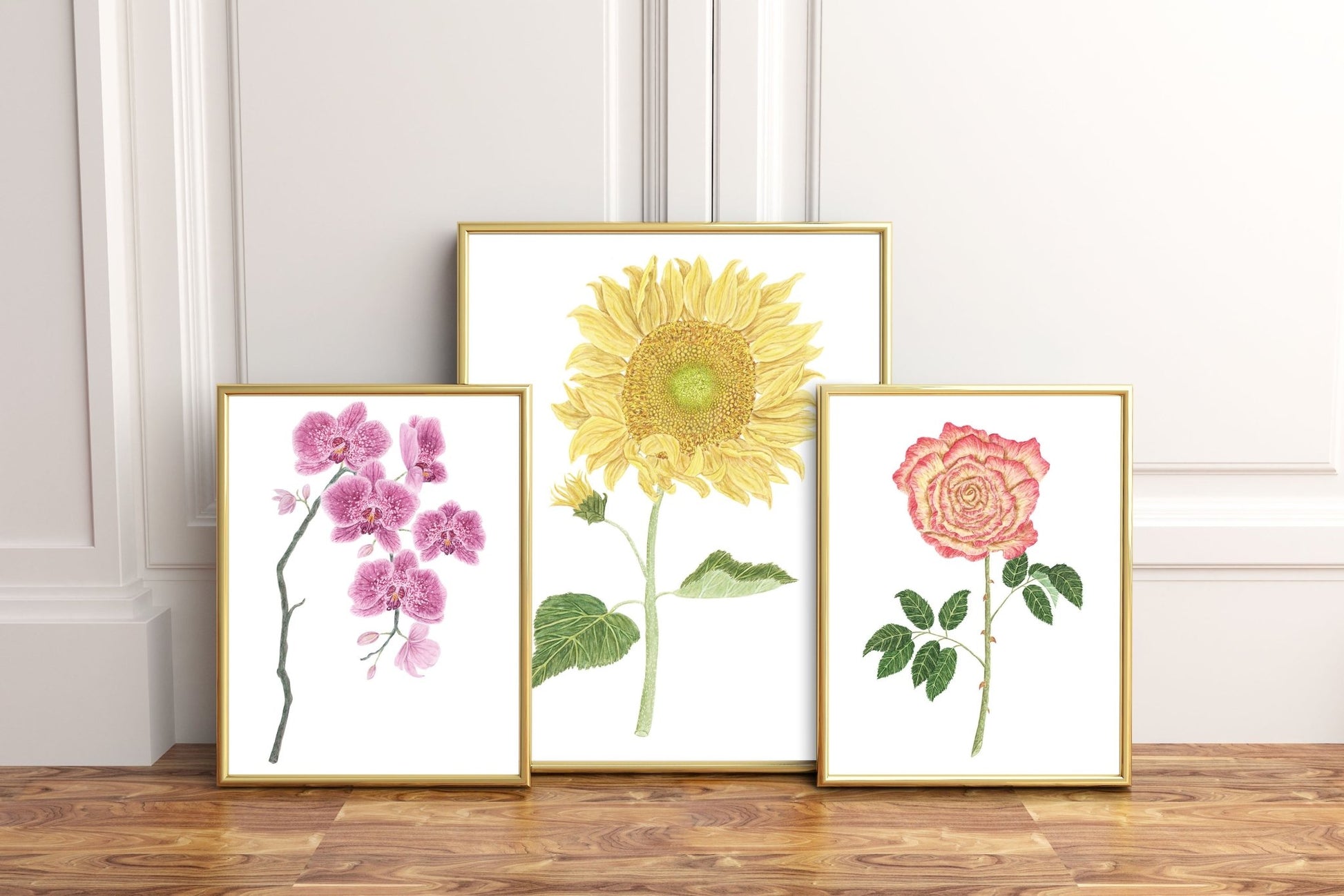 Orchid Print, Watercolor Orchid Painting, Orchid Art, Floral Art, Orchid Print, Emilie Taylor Art