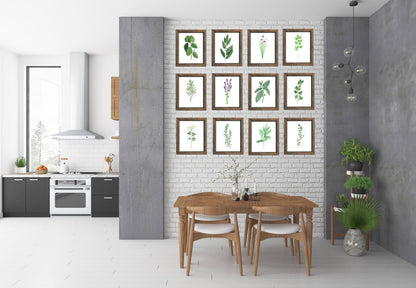 Parsley Watercolor Painting, Kitchen Art, Herb Painting, Botanical Art, Gardener Present Emilie Taylor Art