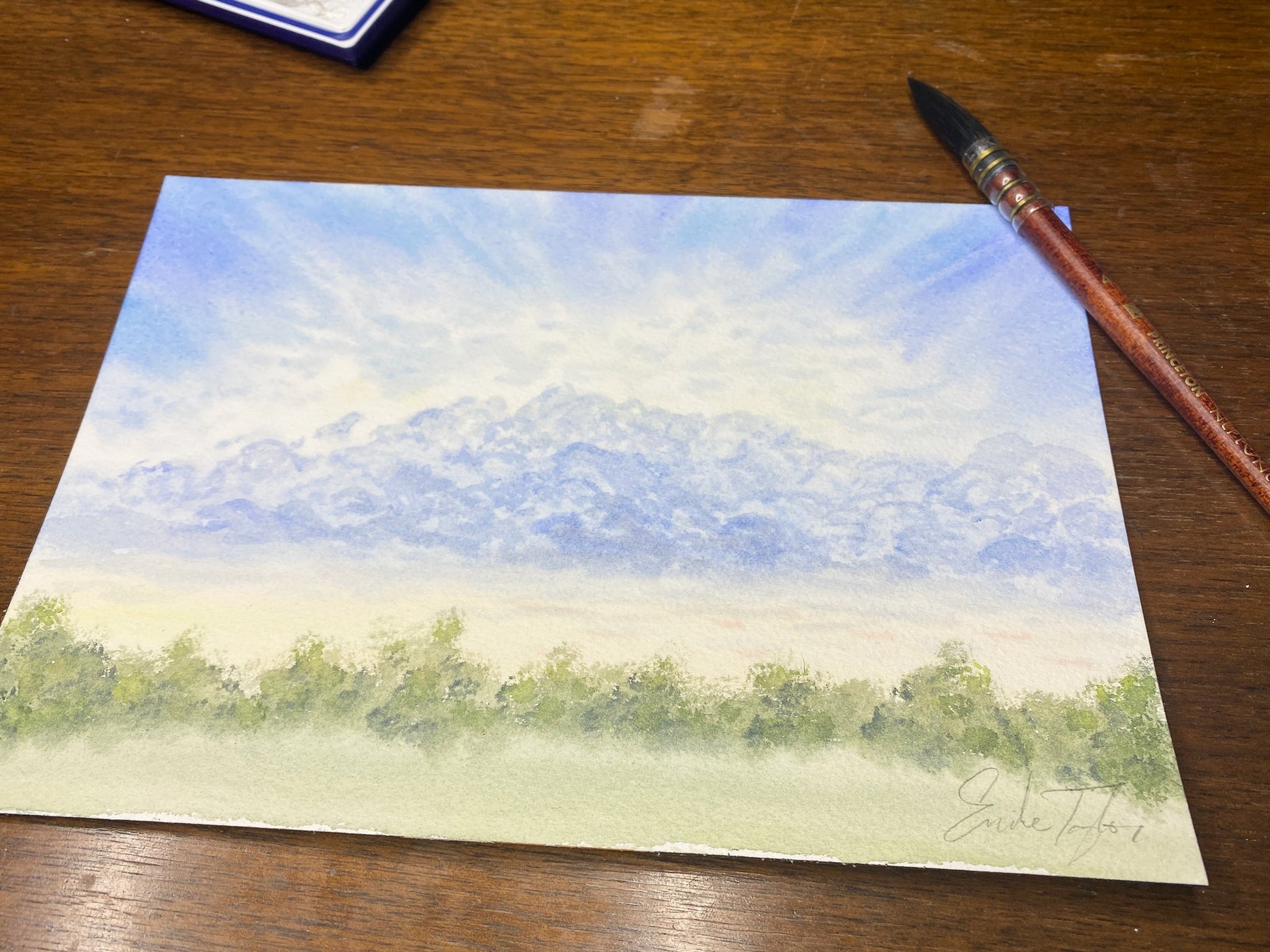 Pastel Thunderheads Original Painting Emilie Taylor Art