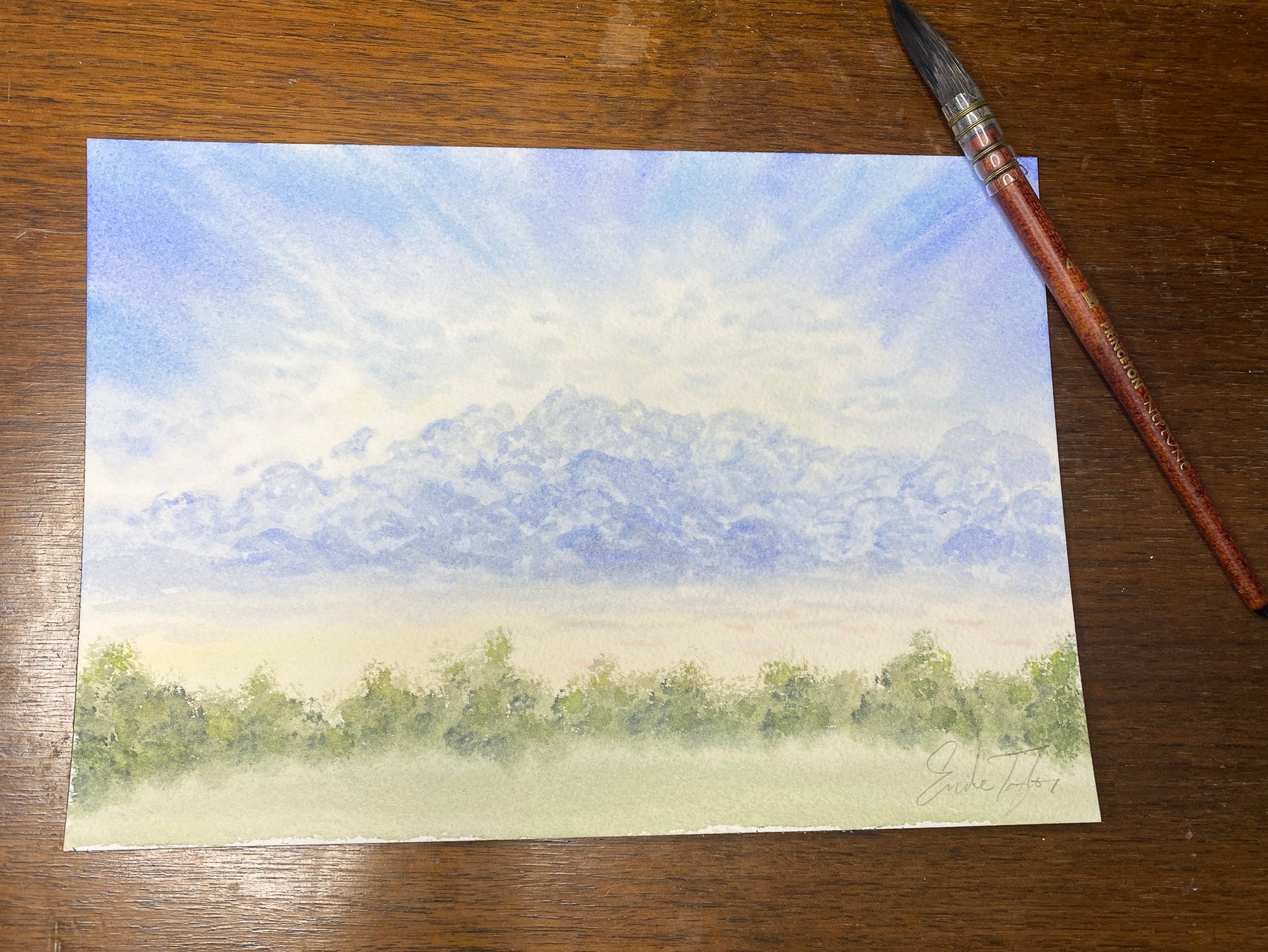 Pastel Thunderheads Original Painting Emilie Taylor Art