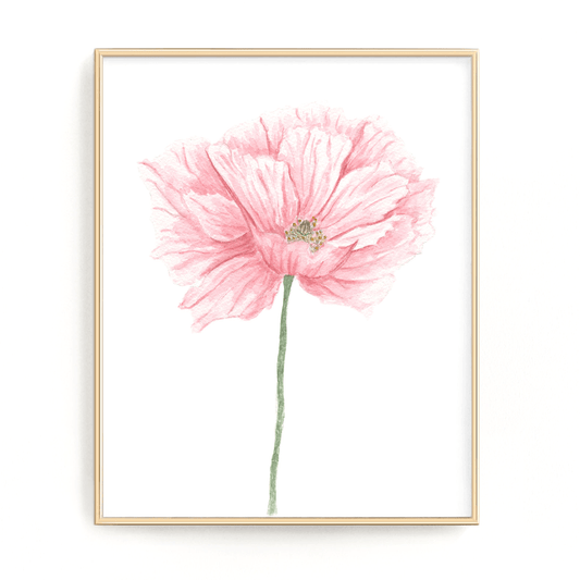 Pink Poppy Print, Watercolor Poppy Painting, Poppy Art, (Style2), Floral Print, Pink Poppy art Emilie Taylor Art