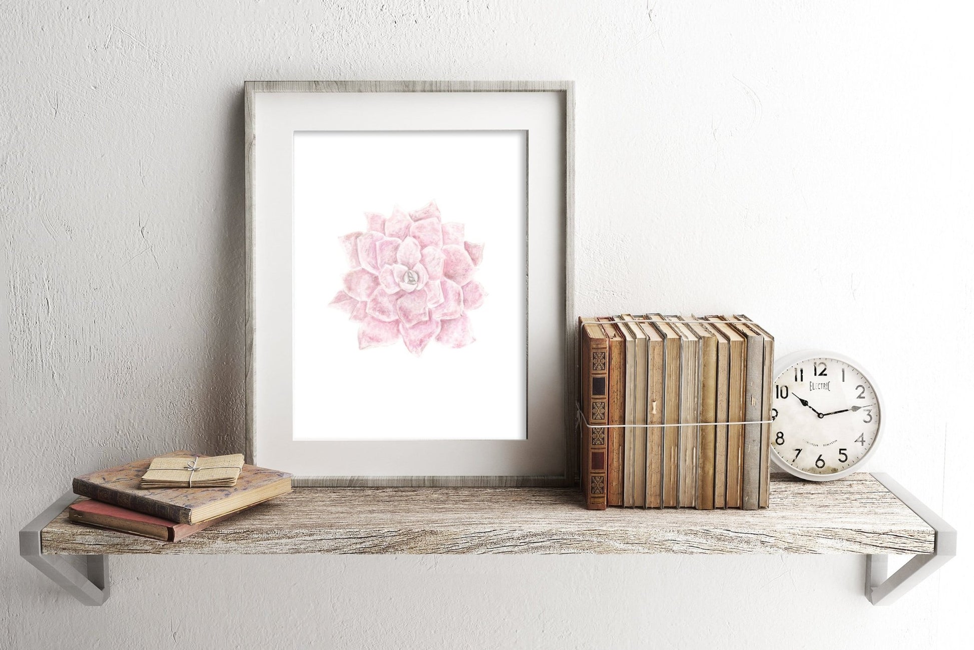 Pink Succulent Print, Watercolor Succulent Painting, Echeveria Succulent, Pink Succulent, Emilie Taylor Art