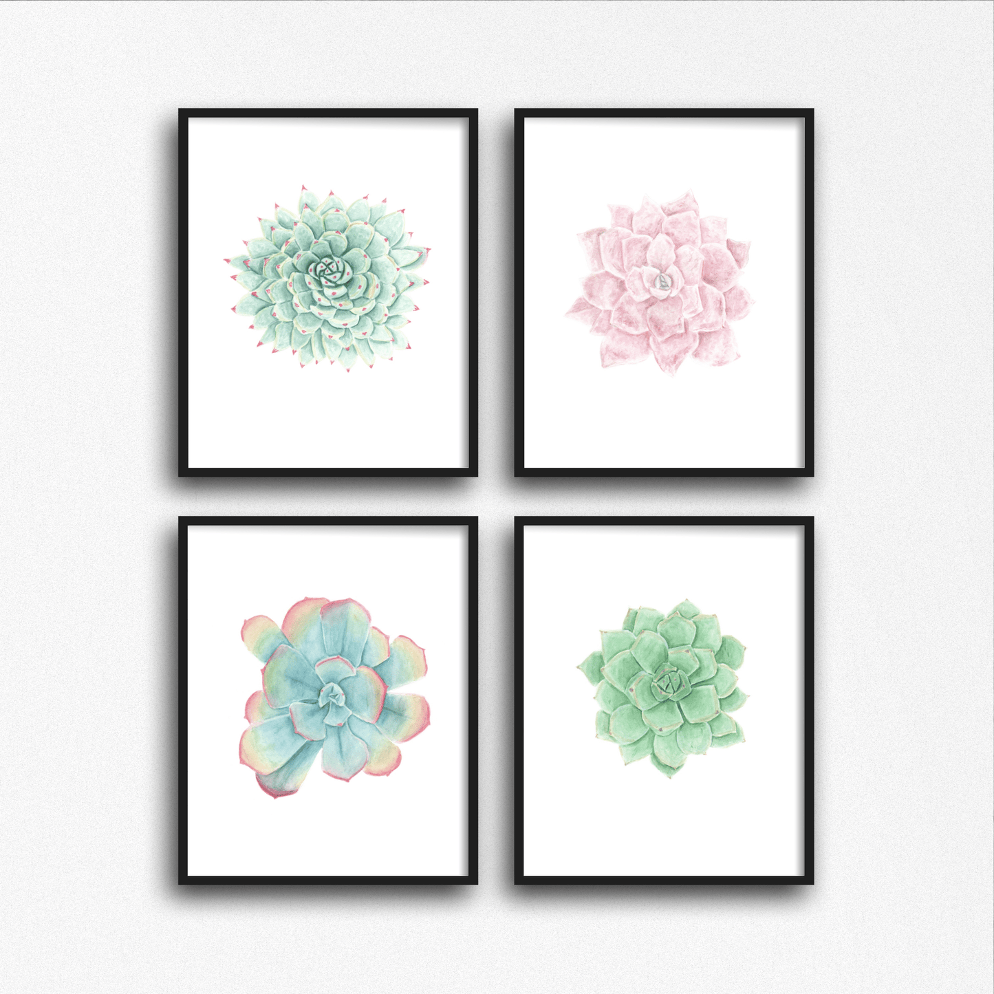 Pink Succulent Print, Watercolor Succulent Painting, Echeveria Succulent, Pink Succulent, Emilie Taylor Art