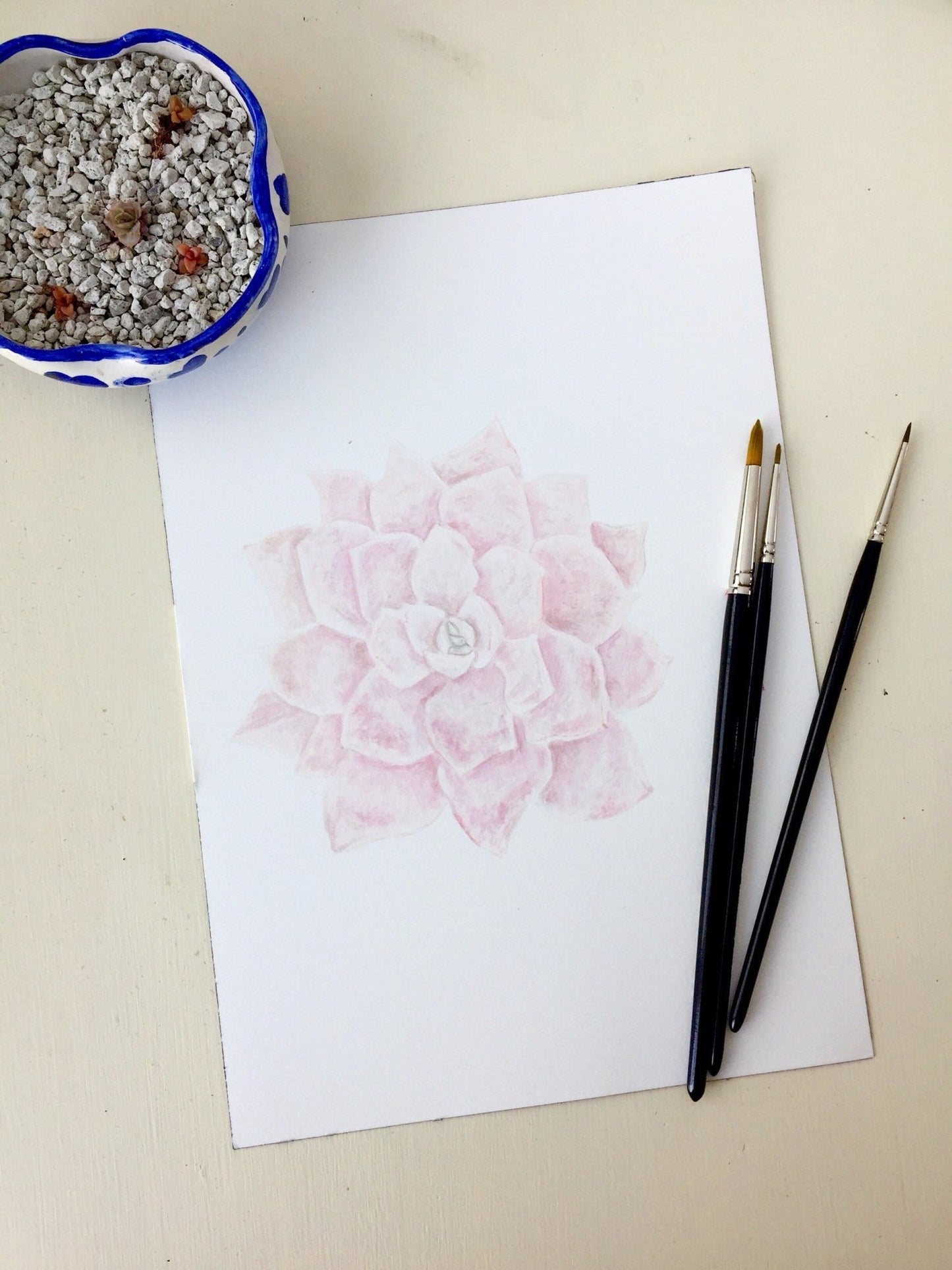 Pink Succulent Print, Watercolor Succulent Painting, Echeveria Succulent, Pink Succulent, Emilie Taylor Art
