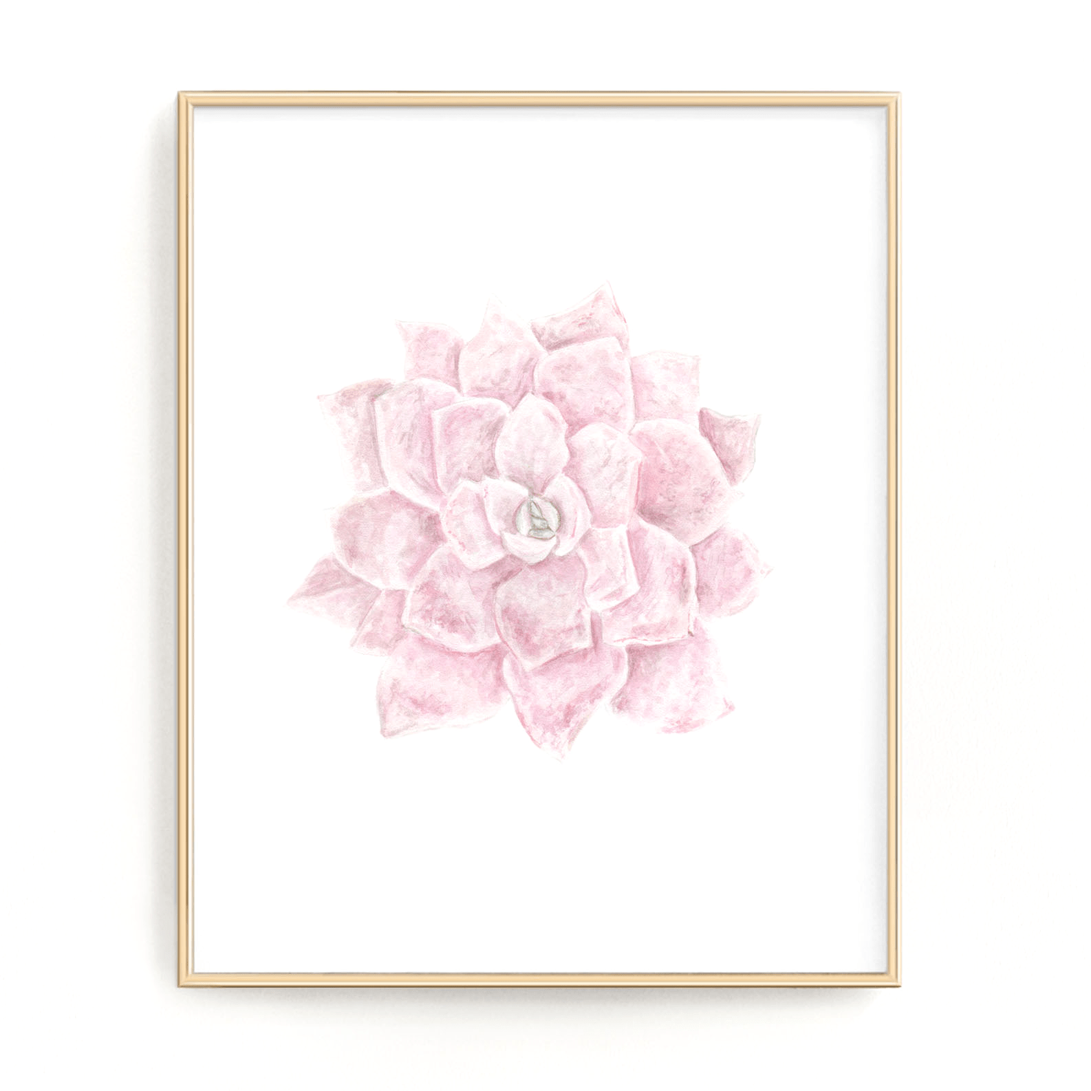 Pink Succulent Print, Watercolor Succulent Painting, Echeveria Succulent, Pink Succulent, Emilie Taylor Art
