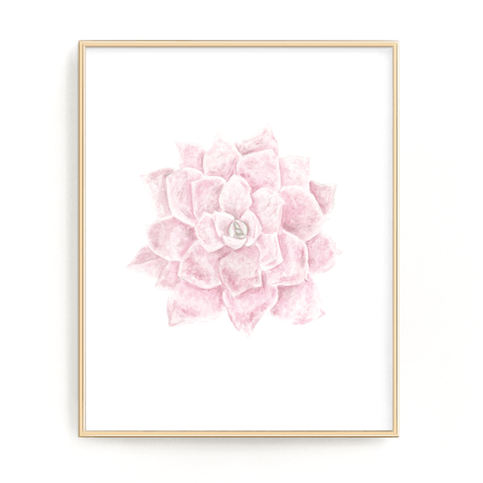 Pink Succulent Print, Watercolor Succulent Painting, Echeveria Succulent, Pink Succulent, Emilie Taylor Art