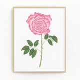 Rose Print, Watercolor Long Stem Rose Painting, Rose Art, Floral Art, Floral Print