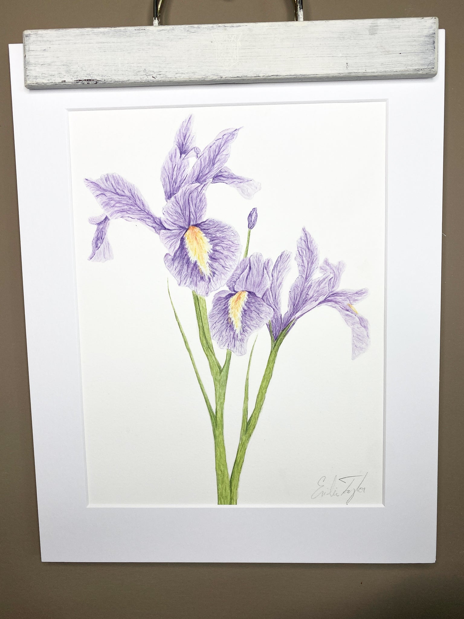 Purple Iris Original Painting Mated to size 11x14 Emilie Taylor Art