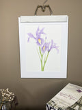 Purple Iris Original Painting Mated to size 11x14 Emilie Taylor Art