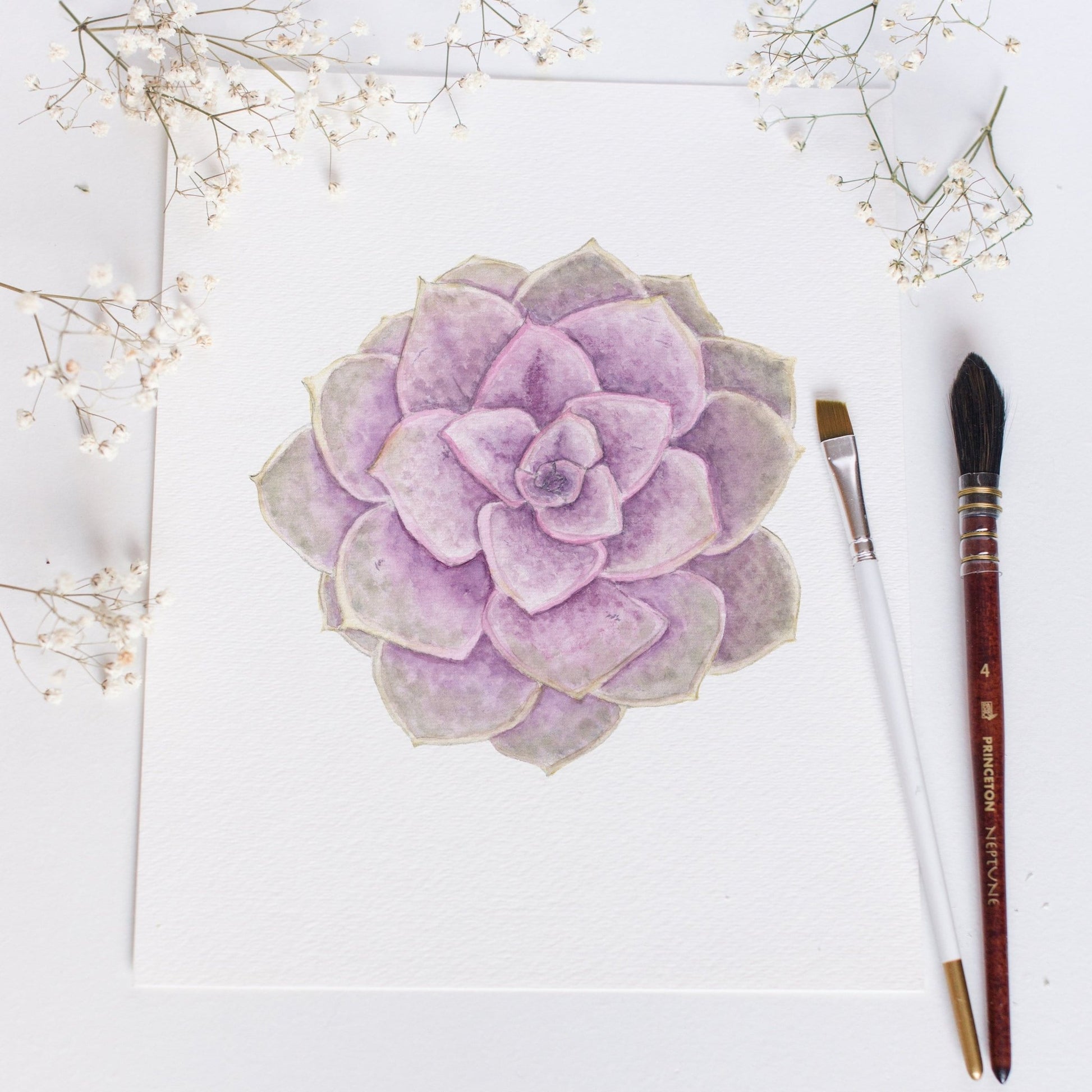 PVN Succulent Print, Watercolor Succulent Art PVN Echeveria, Purple Succulent, Perle Von Nurnberg Emilie Taylor Art