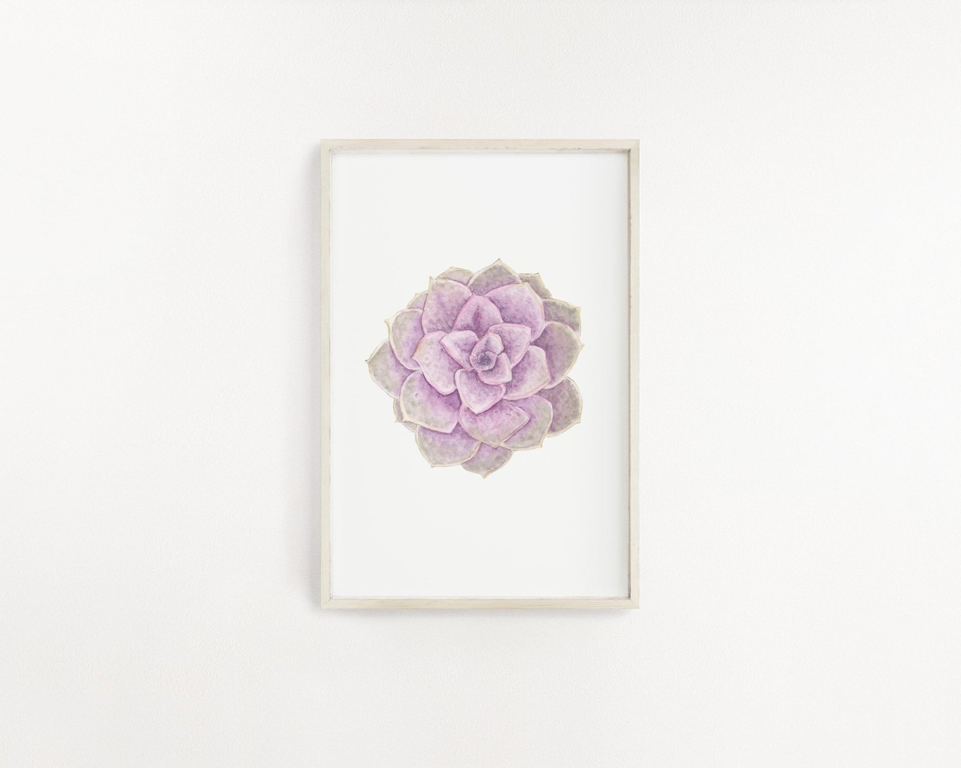 PVN Succulent Print, Watercolor Succulent Art PVN Echeveria, Purple Succulent, Perle Von Nurnberg Emilie Taylor Art