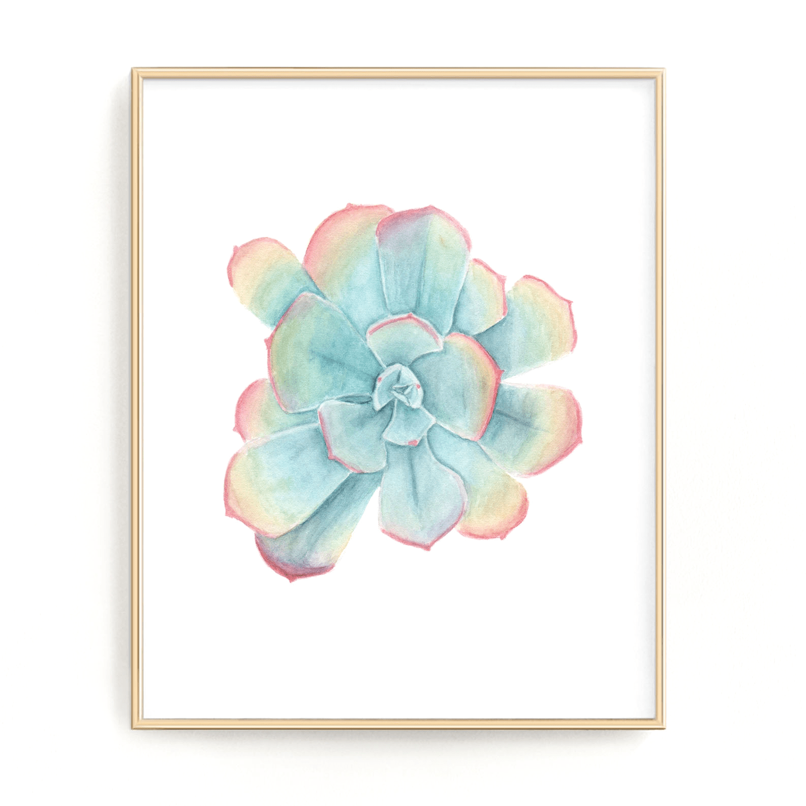 Rainbow Succulent Print, Watercolor Succulent Painting, Blue Sky Echeveria, Blue Sky Succulent Emilie Taylor Art