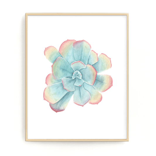 Rainbow Succulent Print, Watercolor Succulent Painting, Blue Sky Echeveria, Blue Sky Succulent Emilie Taylor Art