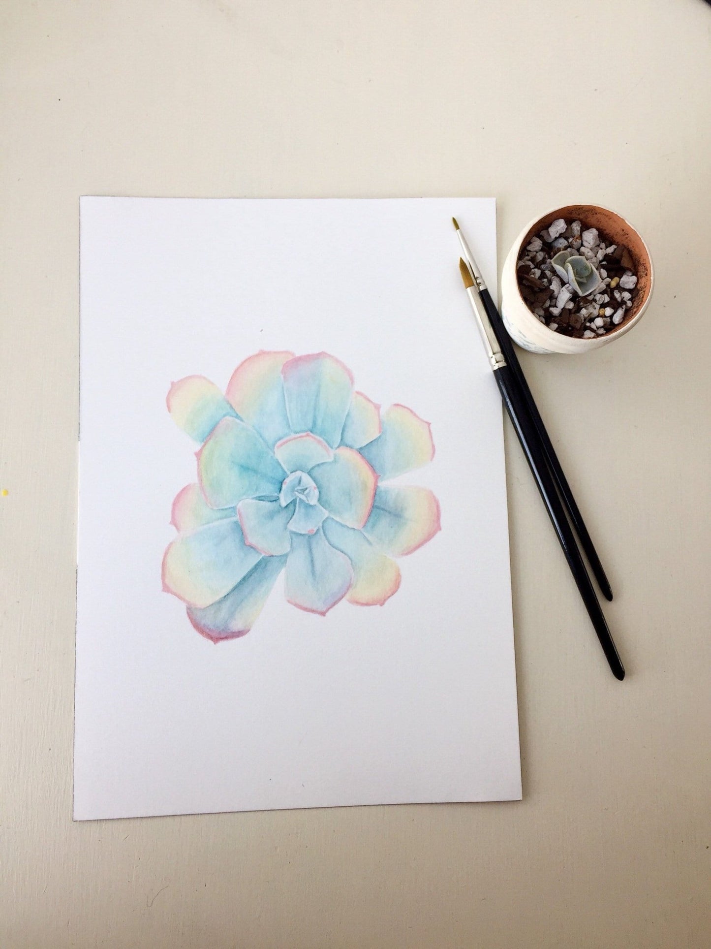 Rainbow Succulent Print, Watercolor Succulent Painting, Blue Sky Echeveria, Blue Sky Succulent Emilie Taylor Art