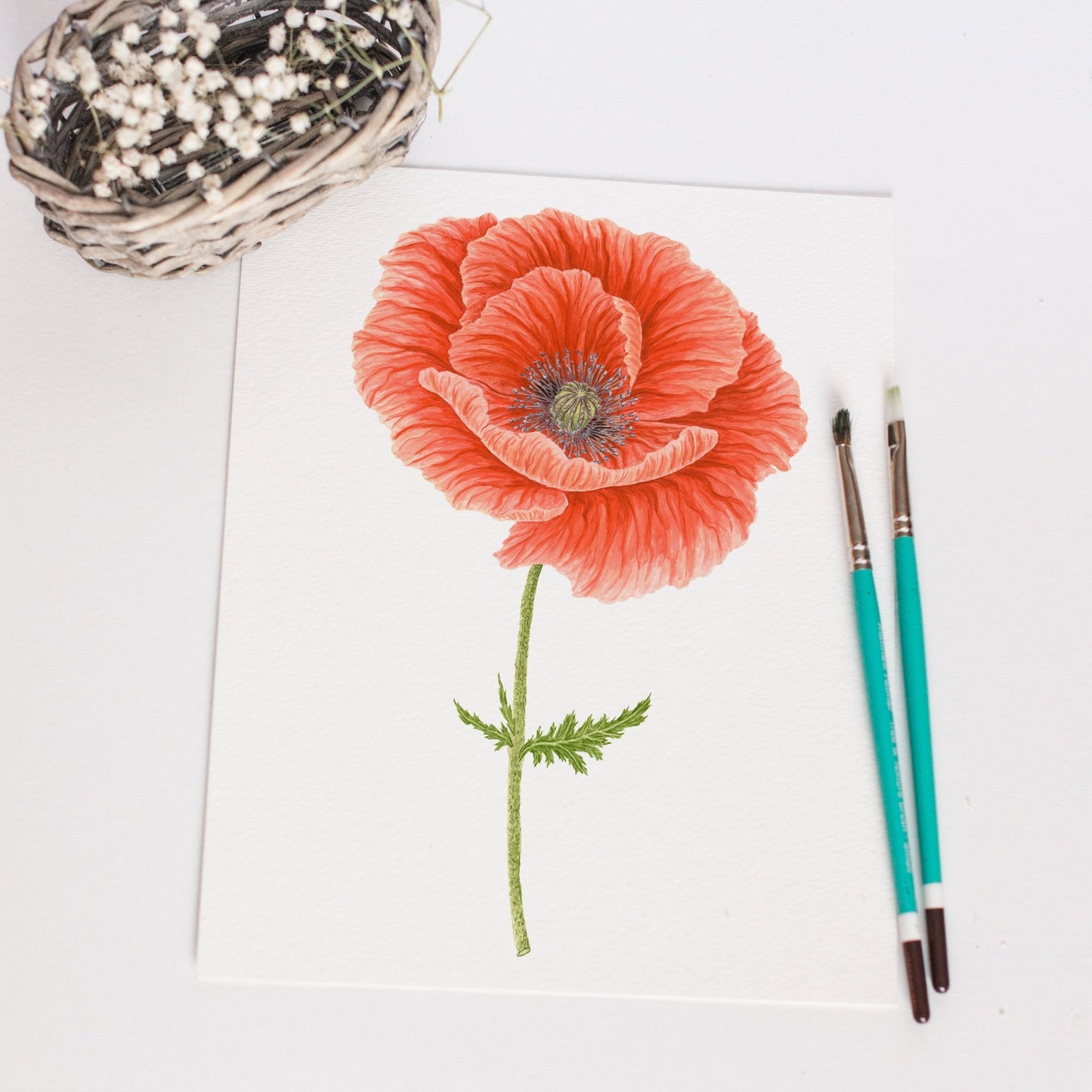 Red Poppy Print, Watercolor Poppy Painting, Red Floral Art Emilie Taylor Art