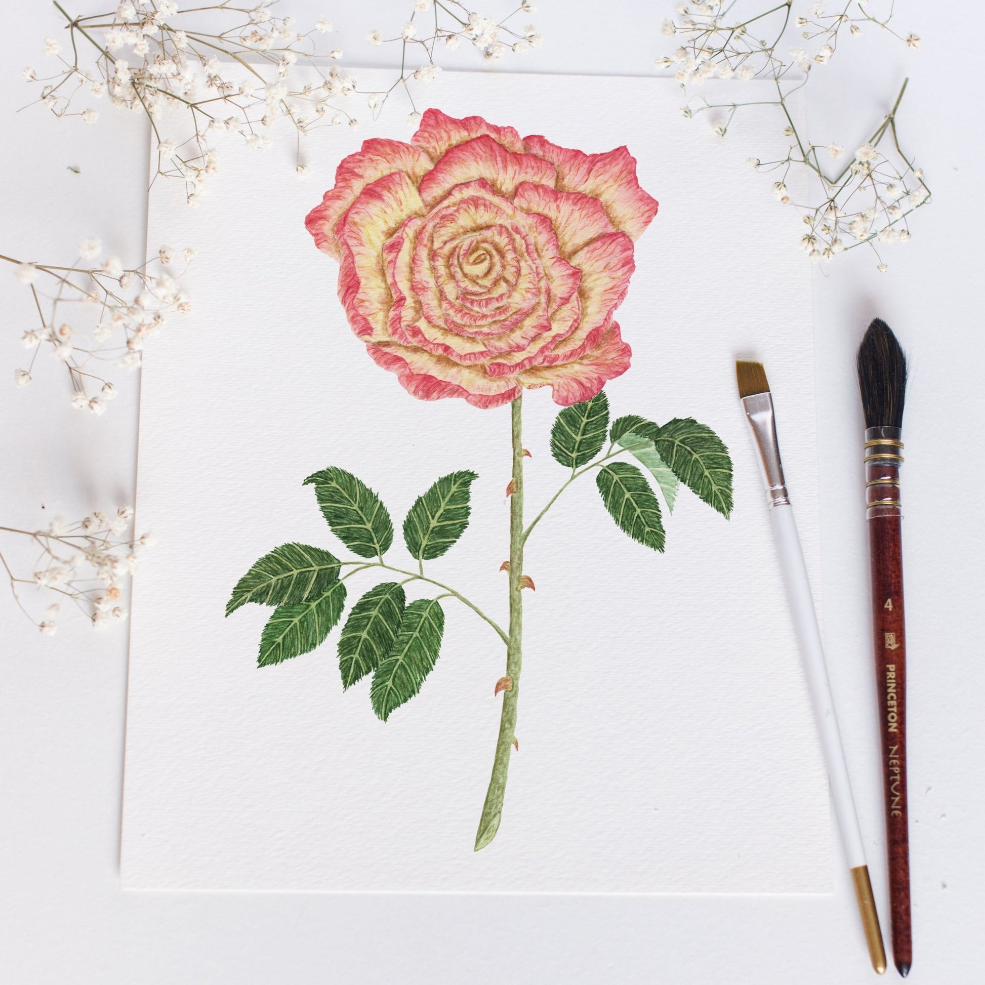 Rose Print, Watercolor Long Stem Rose Painting, Rose Art, Floral Art, Floral Print Emilie Taylor Art