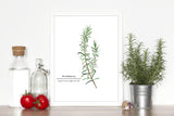 Rosemary Watercolor Painting, Kitchen Wall Art, Mother's Day Present , Herb Painting, Botanical Art Emilie Taylor Art