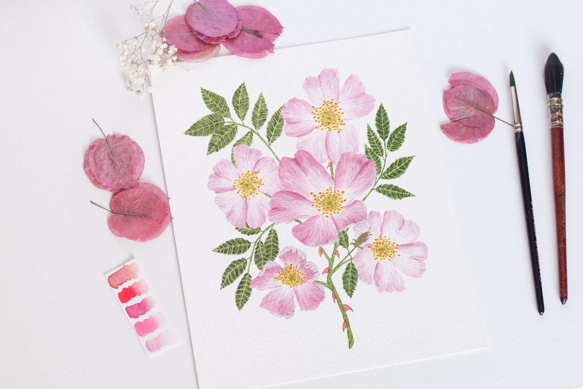 Roses Print, Watercolor Rose Painting, Dog Rose Art, Floral Art, Floral Print, Wild Rose Art Emilie Taylor Art