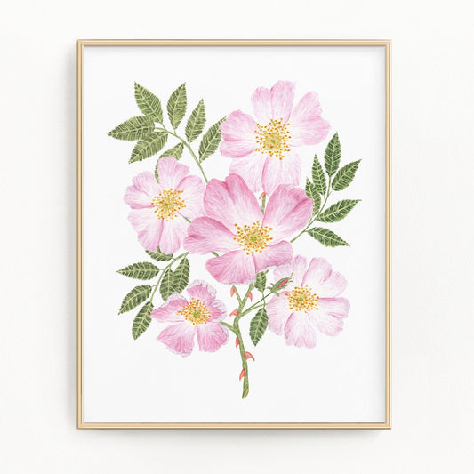 Roses Print, Watercolor Rose Painting, Dog Rose Art, Floral Art, Floral Print, Wild Rose Art Emilie Taylor Art