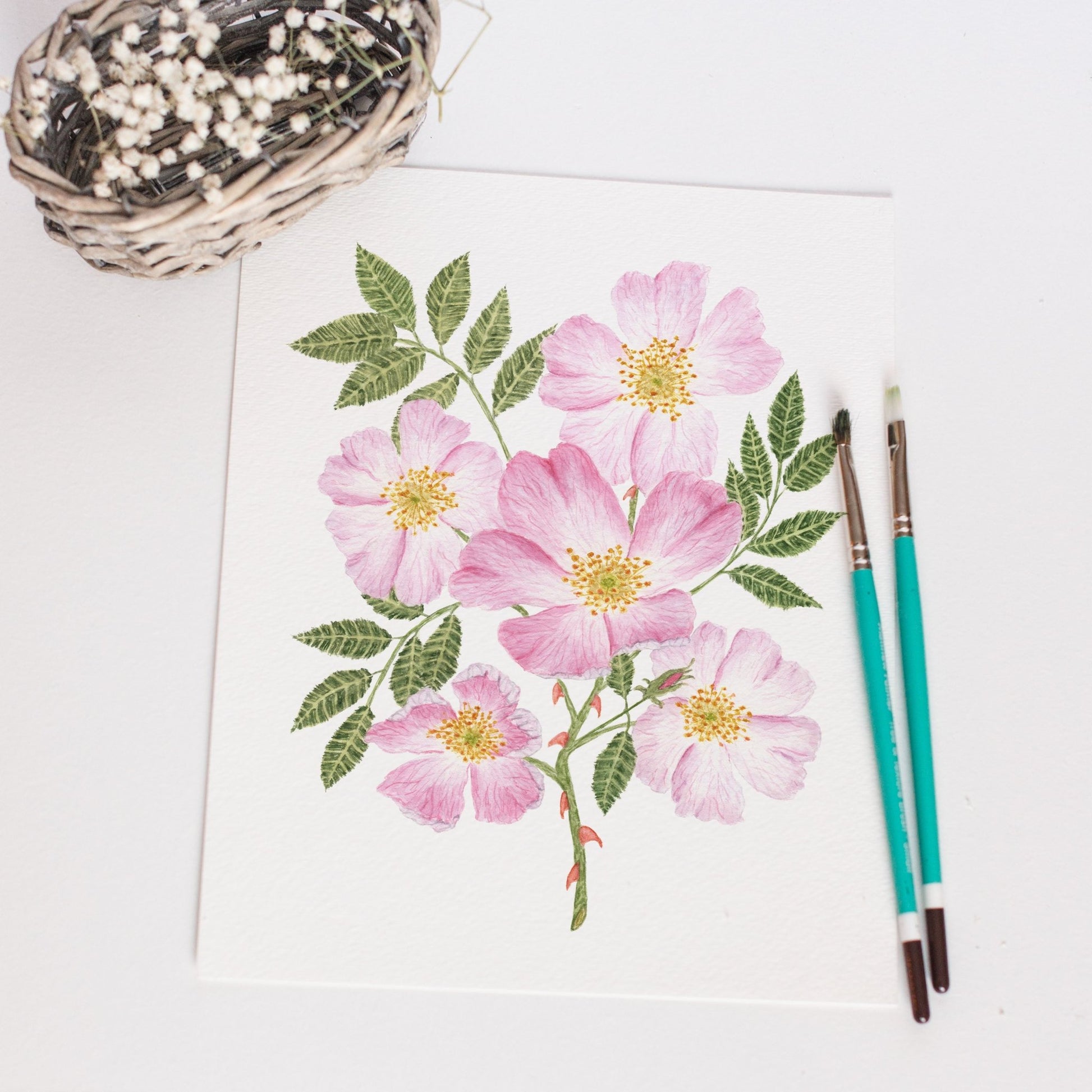 Roses Print, Watercolor Rose Painting, Dog Rose Art, Floral Art, Floral Print, Wild Rose Art Emilie Taylor Art