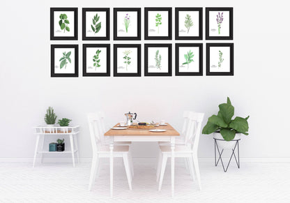 Sage Watercolor Painting, Kitchen Wall Art, Herb Painting, Botanical Art, Gardener Present Emilie Taylor Art