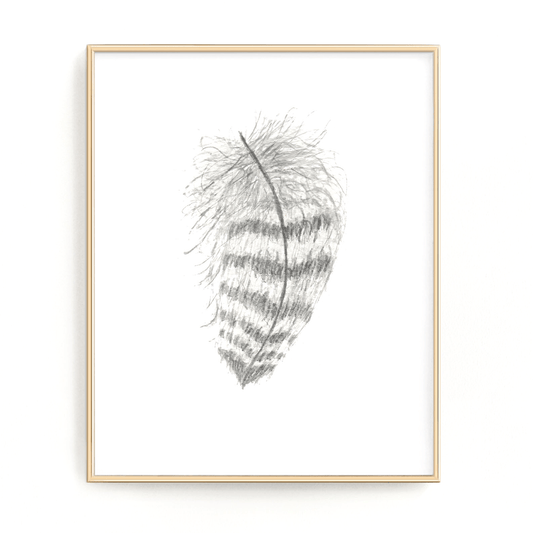 Striped Watercolor Feather, Feather Print, Boho Feather Art, Black & White Feather, Grey Decor Emilie Taylor Art