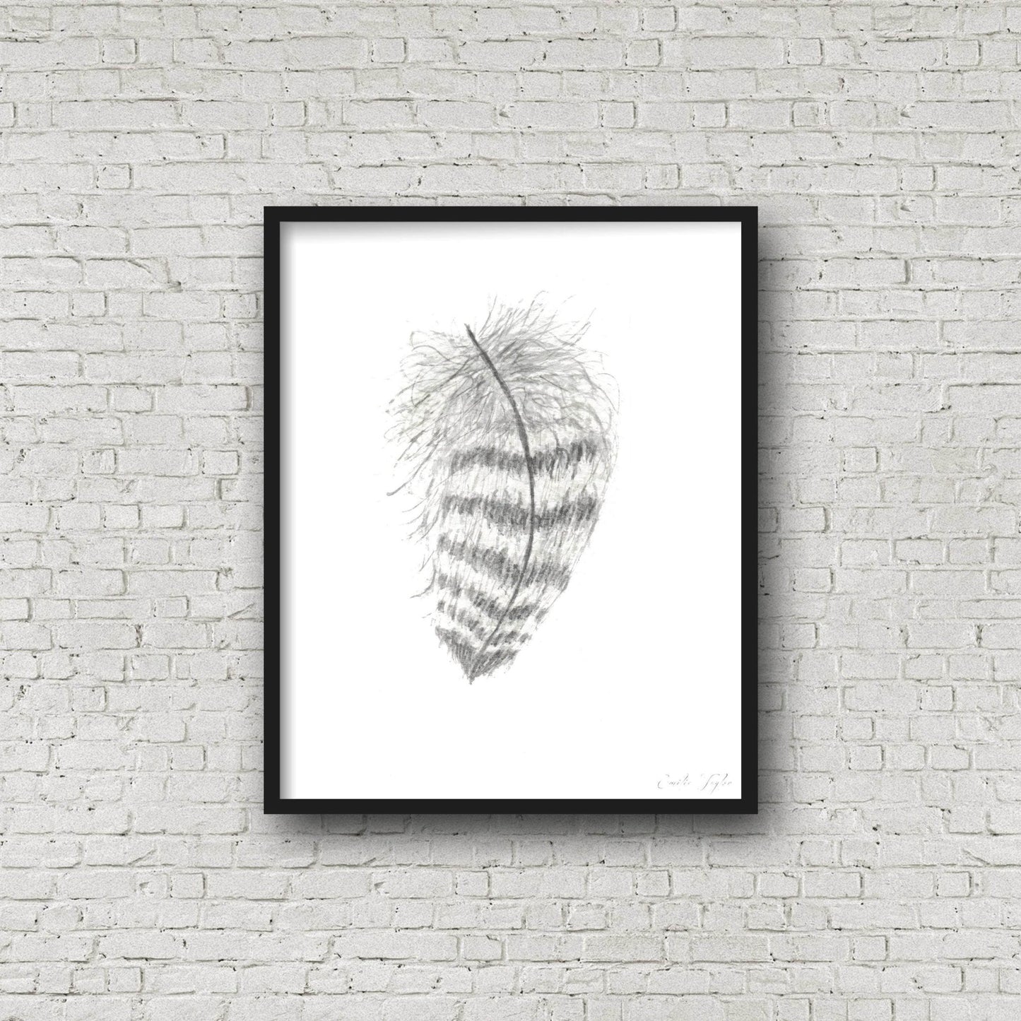 Striped Watercolor Feather, Feather Print, Boho Feather Art, Black & White Feather, Grey Decor Emilie Taylor Art