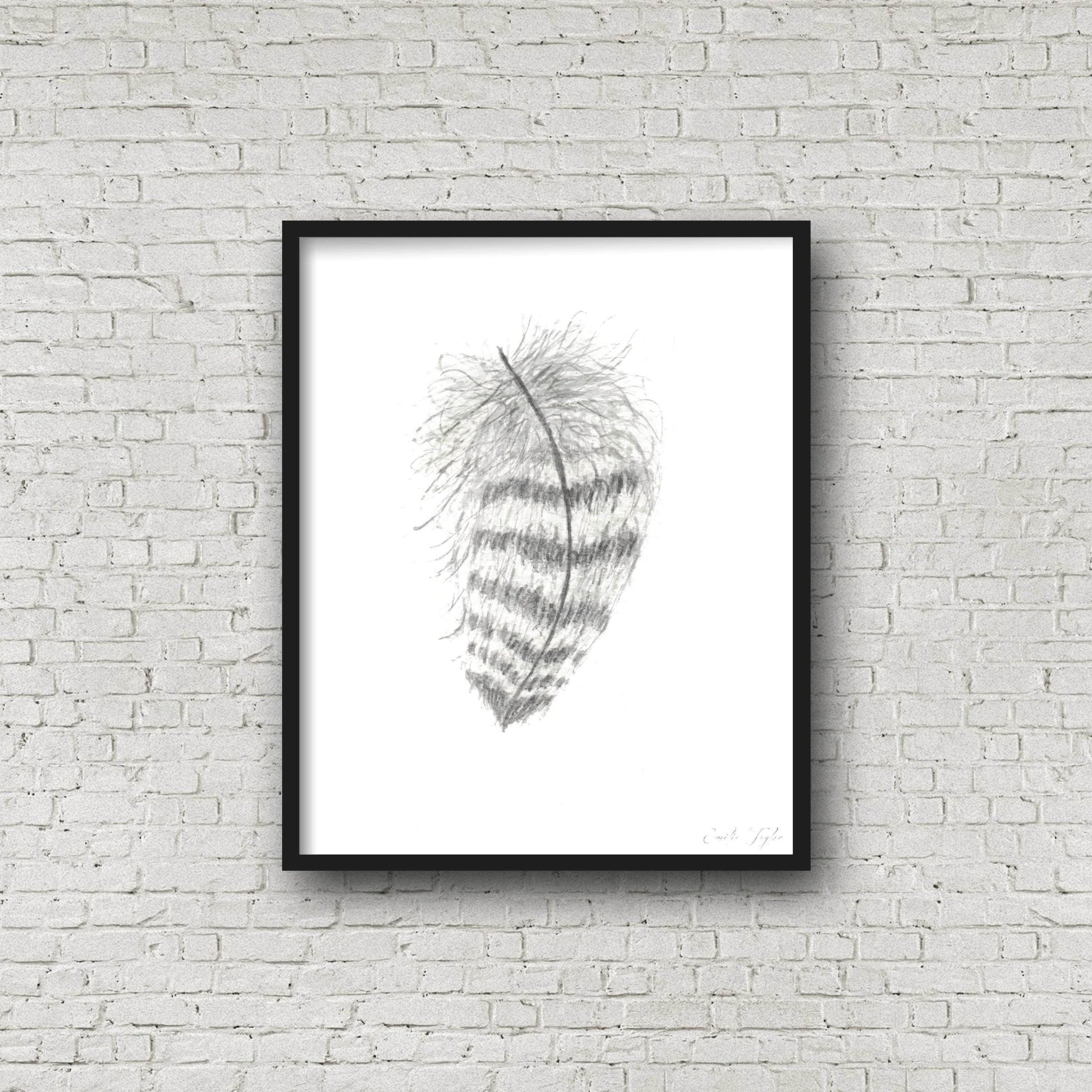 Striped Watercolor Feather, Feather Print, Boho Feather Art, Black & White Feather, Grey Decor Emilie Taylor Art