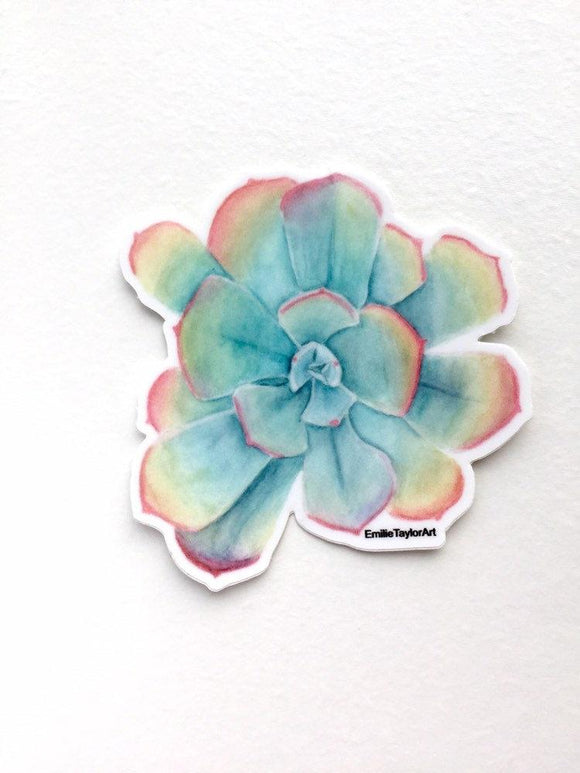 succulent decal Succulent Decal, Watercolor Succulent Sticker, Succulent Decal, Rainbow Sticker, Pastel Succulent