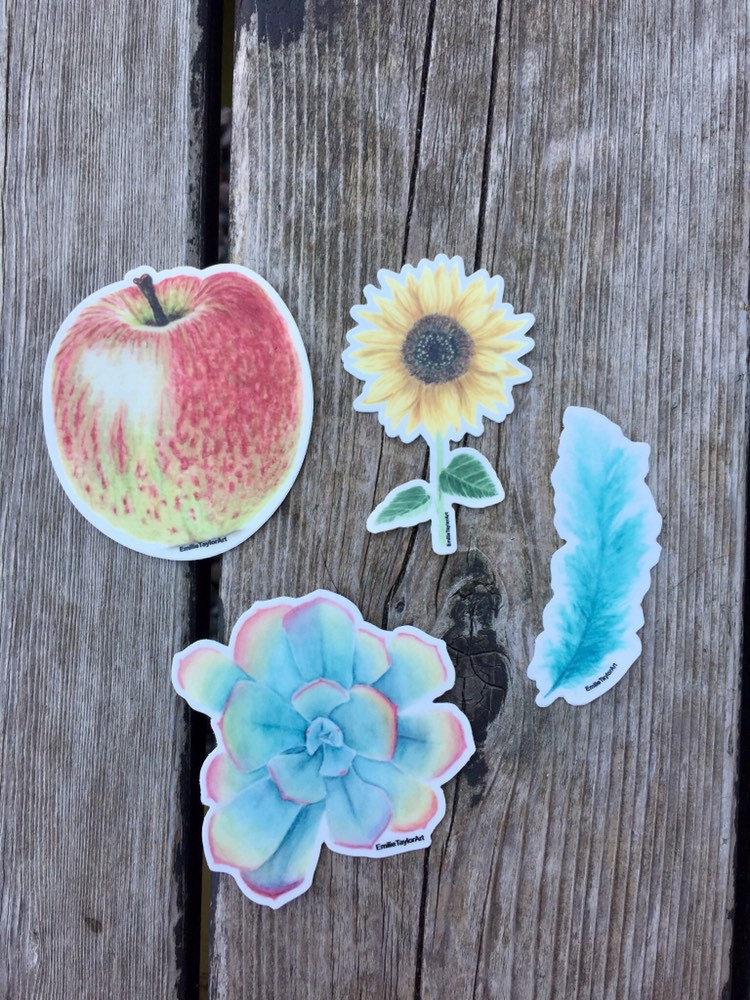 Succulent Decal, Watercolor Succulent Sticker, Succulent Decal, Rainbow Sticker, Pastel Succulent Emilie Taylor Art