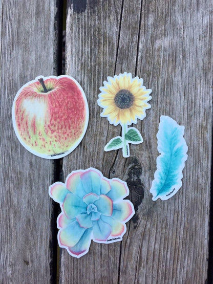 Succulent Decal, Watercolor Succulent Sticker, Succulent Decal, Rainbow Sticker, Pastel Succulent Emilie Taylor Art