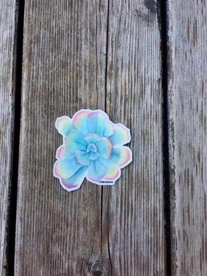 Succulent Decal, Watercolor Succulent Sticker, Succulent Decal, Rainbow Sticker, Pastel Succulent Emilie Taylor Art