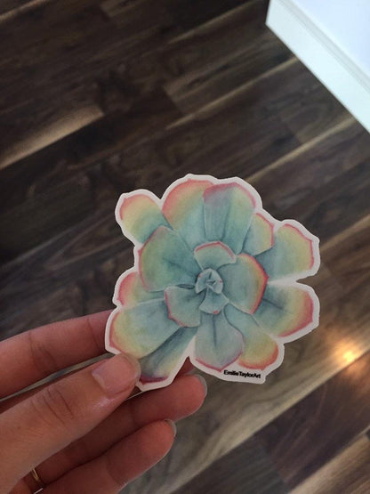 Succulent Decal, Watercolor Succulent Sticker, Succulent Decal, Rainbow Sticker, Pastel Succulent Emilie Taylor Art