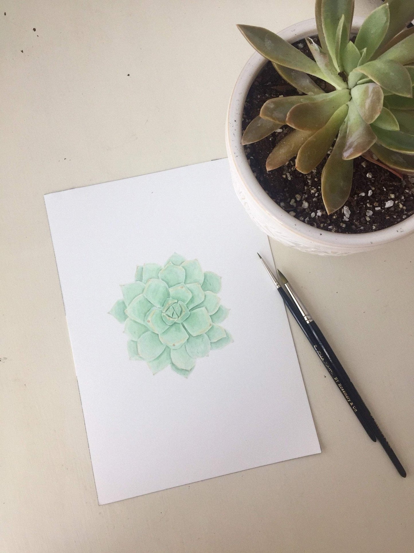 Succulent Print, Green Succulent Watercolor Succulent Painting, Succulent, Succulent Decor, Green Succulent Emilie Taylor Art